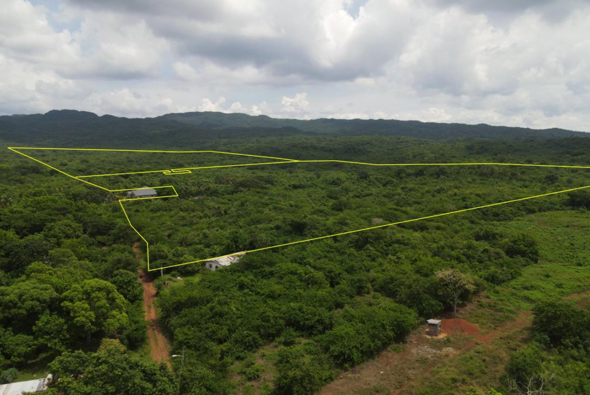 Sixth image of Denbigh in Denbigh, Clarendon, Jamaica - property is For Sale
