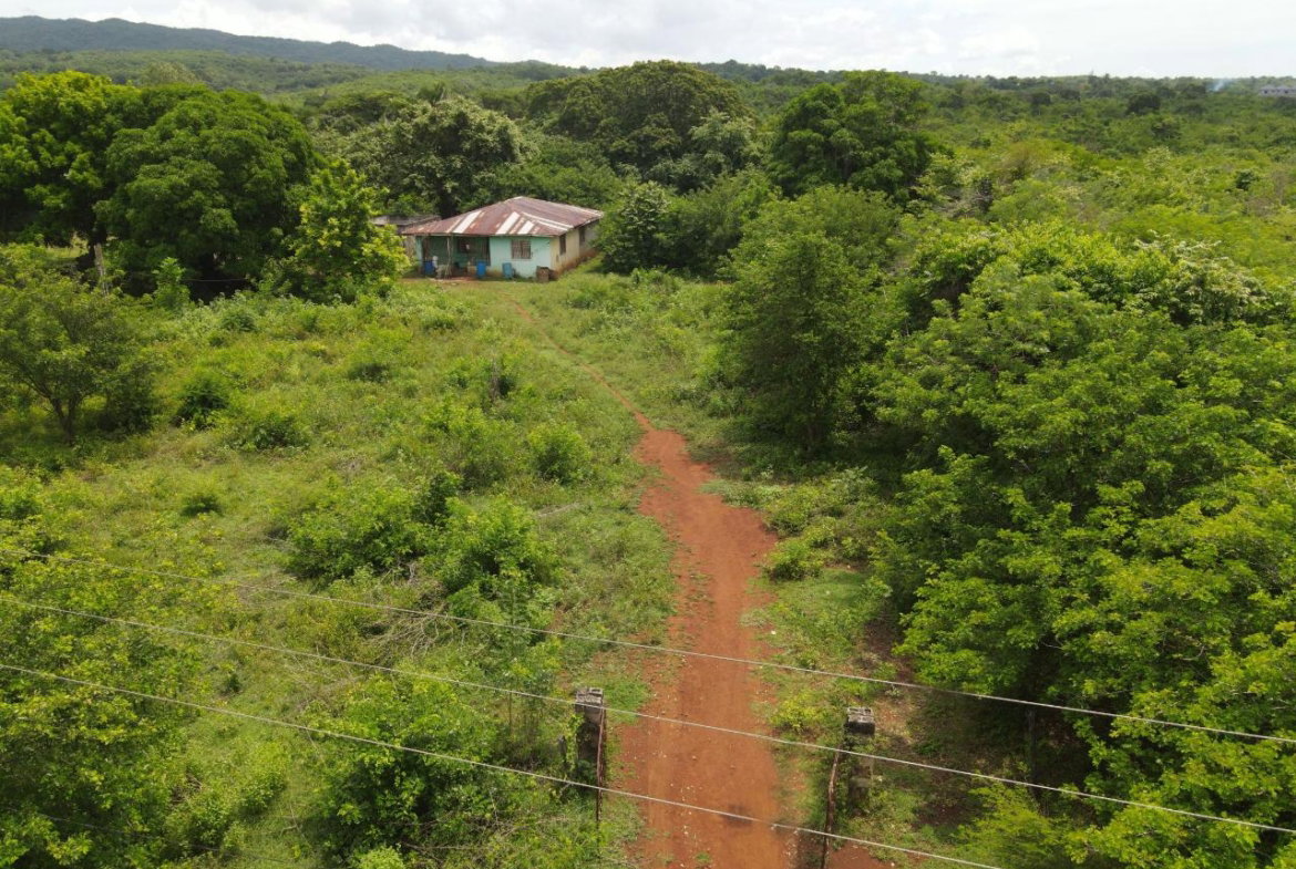 Seventh image of Denbigh in Denbigh, Clarendon, Jamaica - property is For Sale