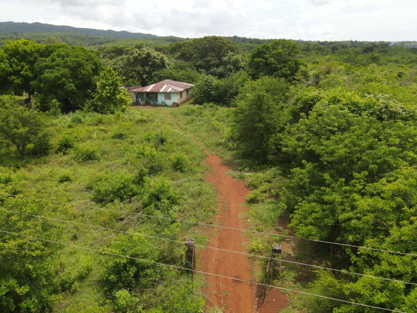 Seventh image of Denbigh in Denbigh, Clarendon, Jamaica - property is For Sale
