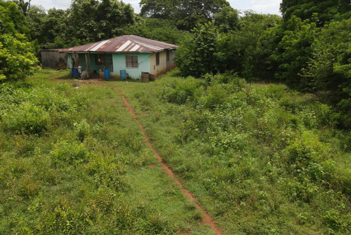 Eighth image of Denbigh in Denbigh, Clarendon, Jamaica - property is For Sale