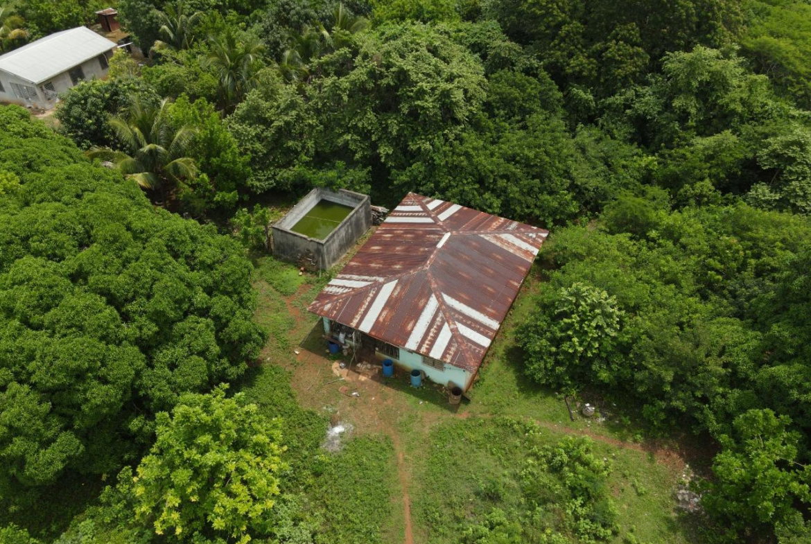 Ninth image of Denbigh in Denbigh, Clarendon, Jamaica - property is For Sale