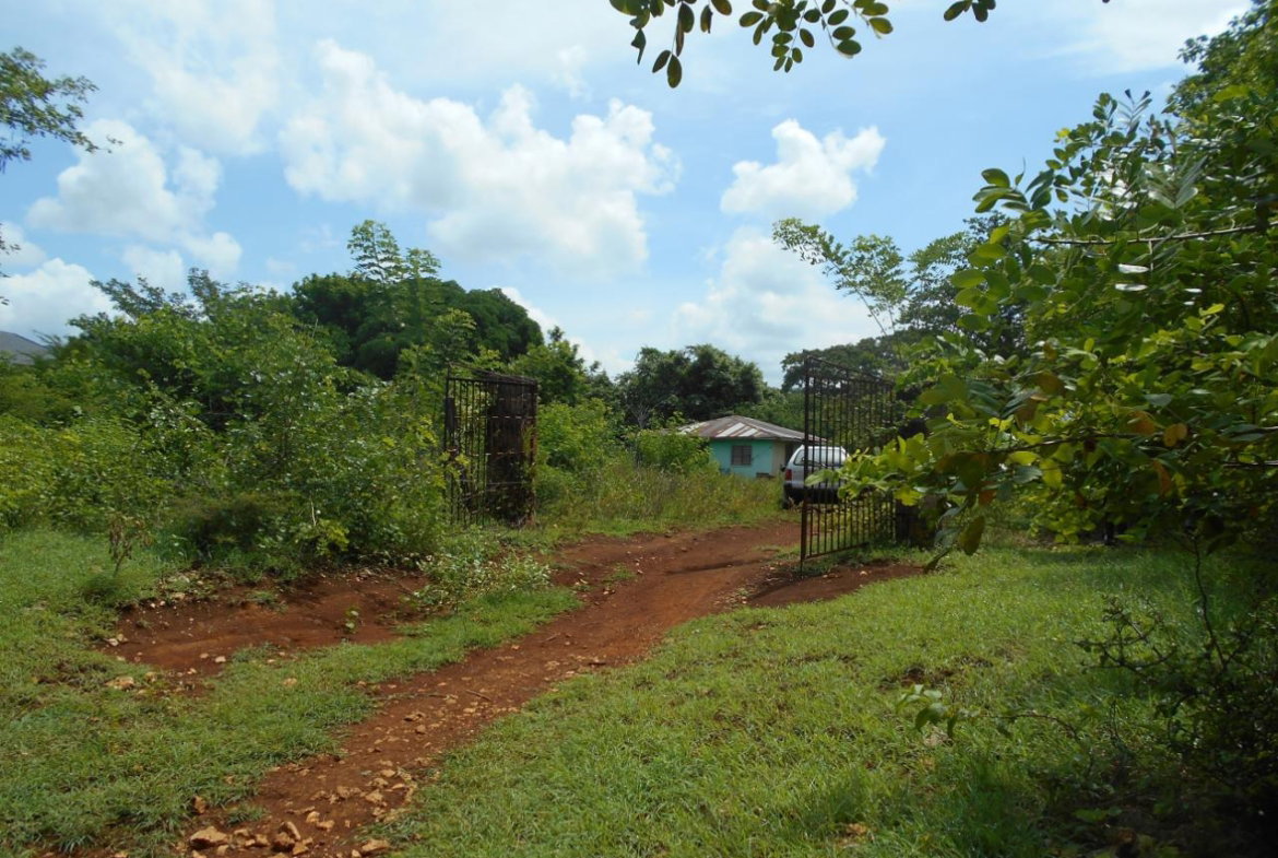 Tenth image of Denbigh in Denbigh, Clarendon, Jamaica - property is For Sale