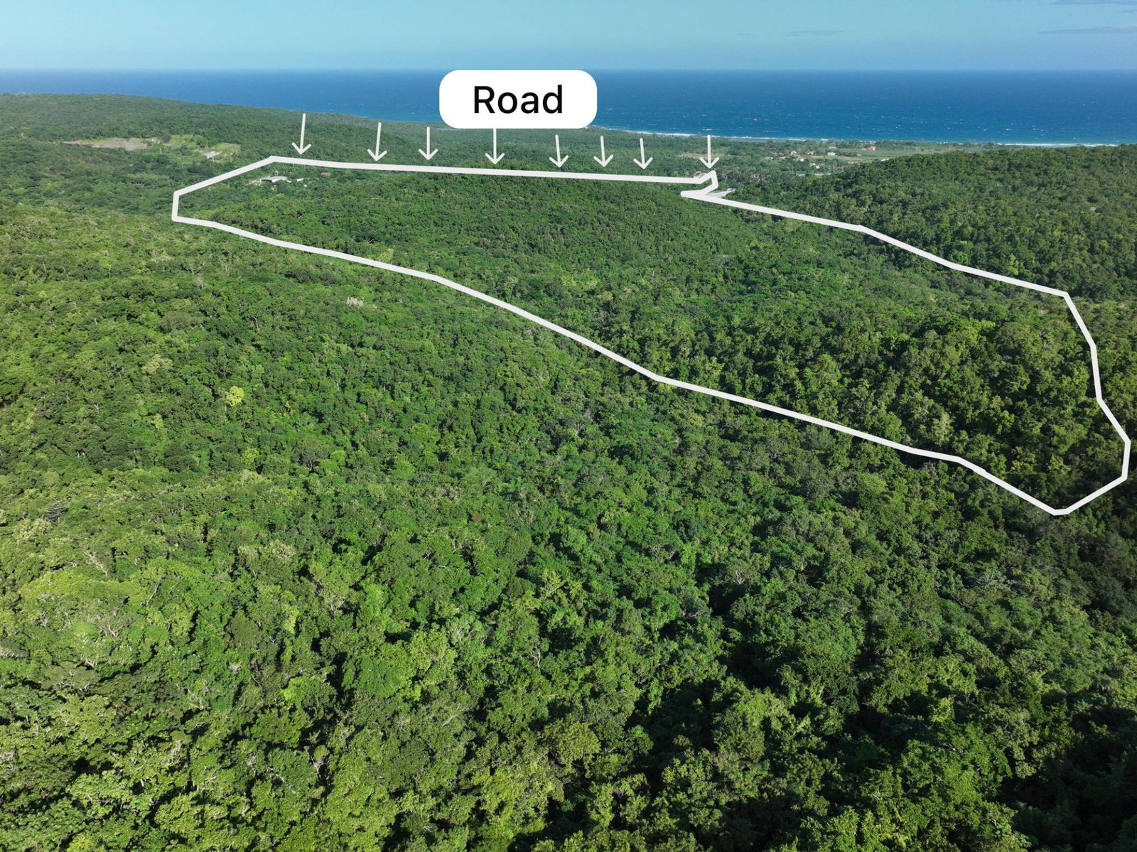 Second image of Camel, Part of Braco Esta in Duncans, Trelawny, Jamaica - property is For Sale