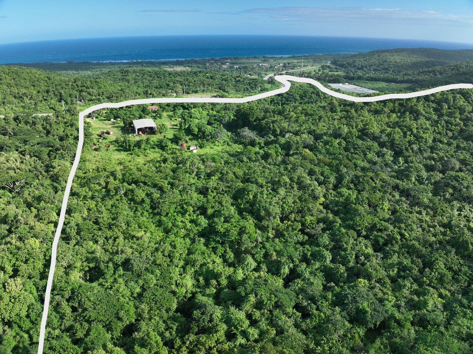 Third image of Camel, Part of Braco Esta in Duncans, Trelawny, Jamaica - property is For Sale