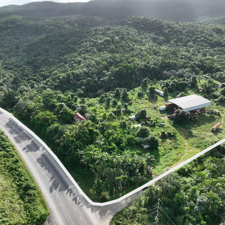 First image of Camel, Part of Braco Esta in Duncans, Trelawny, Jamaica - property is For Sale