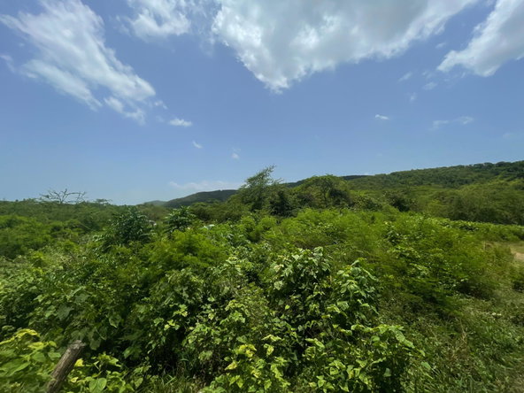 Eleventh image of Lot 9-part of Albion in Albion, St. Thomas, Jamaica - property is For Sale