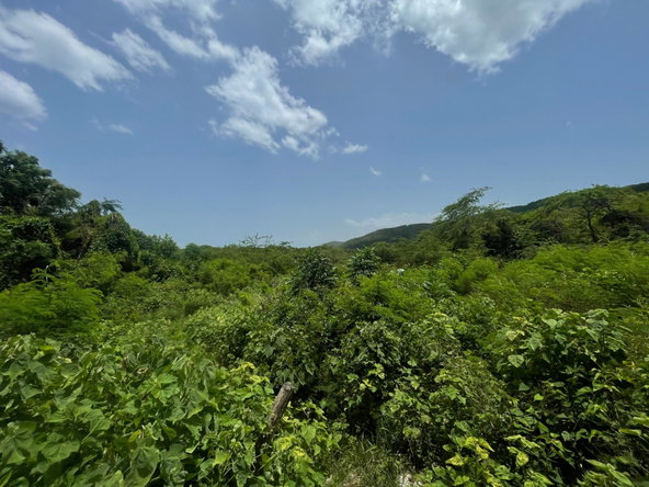 Tenth image of Lot 9-part of Albion in Albion, St. Thomas, Jamaica - property is For Sale