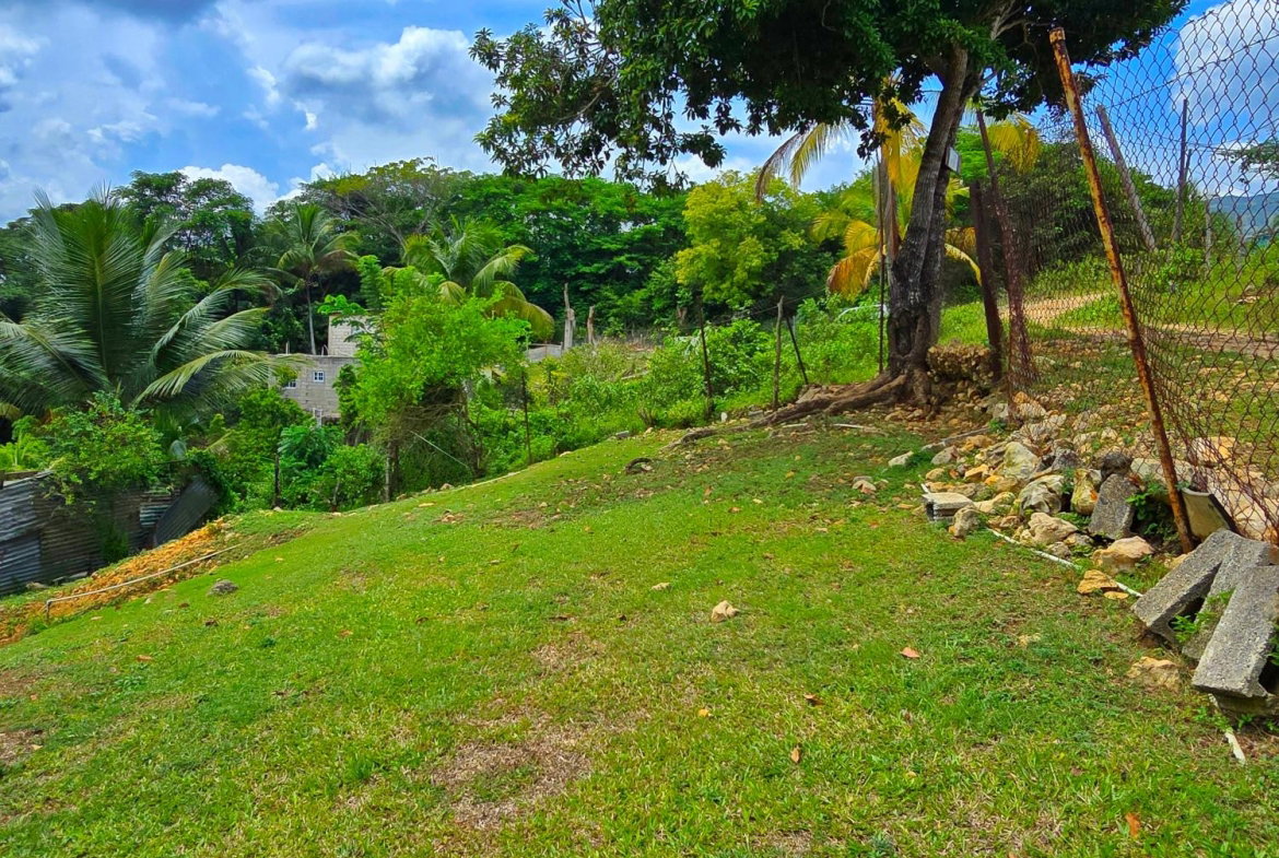 Twelfth image of Part of Hayfield, Ewarton in Ewarton, St. Catherine, Jamaica - property is For Sale