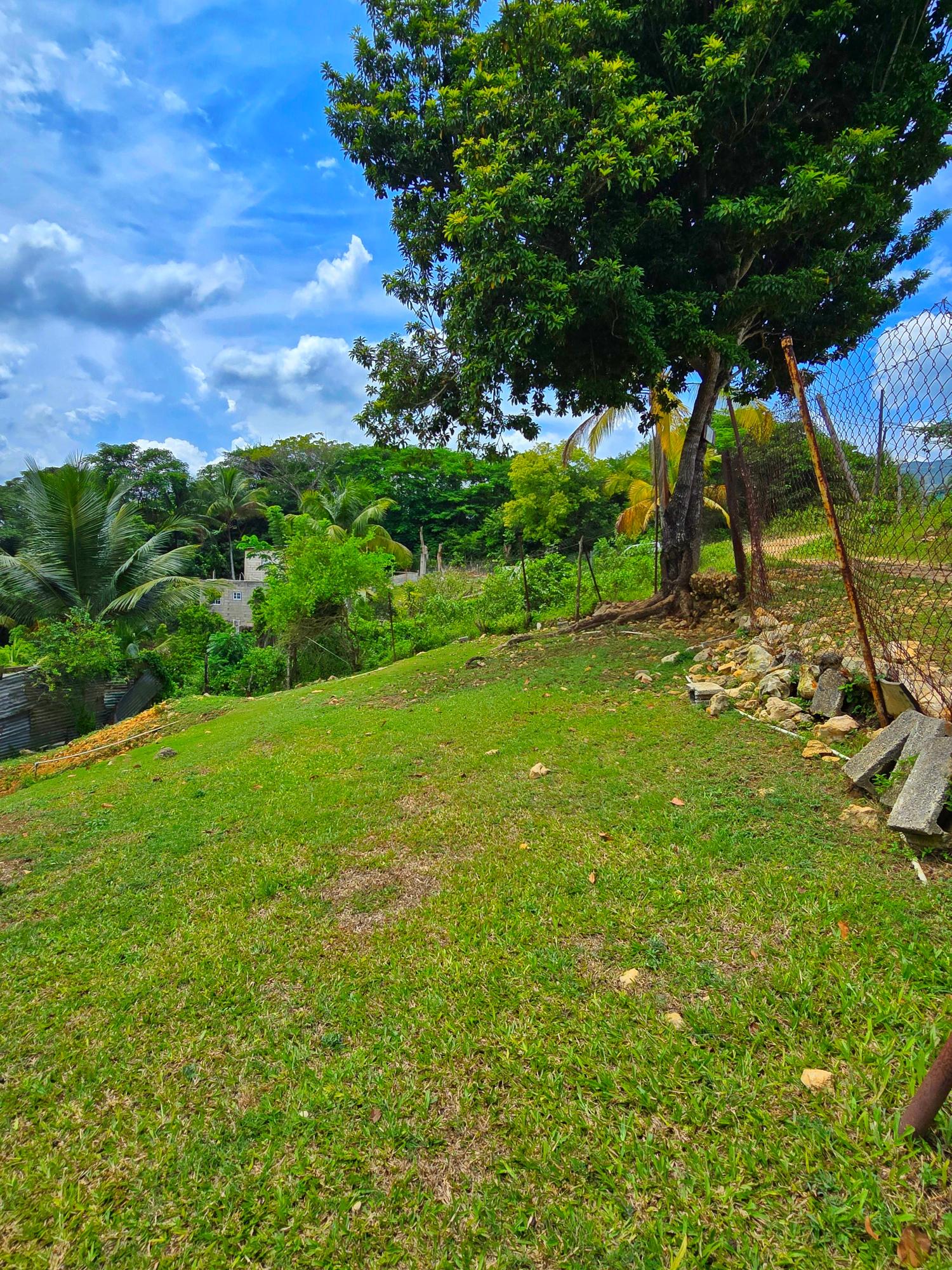 Twelfth image of Part of Hayfield, Ewarton in Ewarton, St. Catherine, Jamaica - property is For Sale