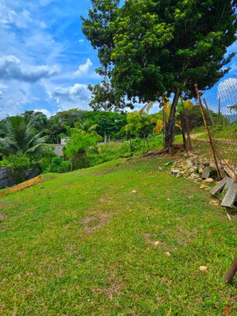 Twelfth image of Part of Hayfield, Ewarton in Ewarton, St. Catherine, Jamaica - property is For Sale