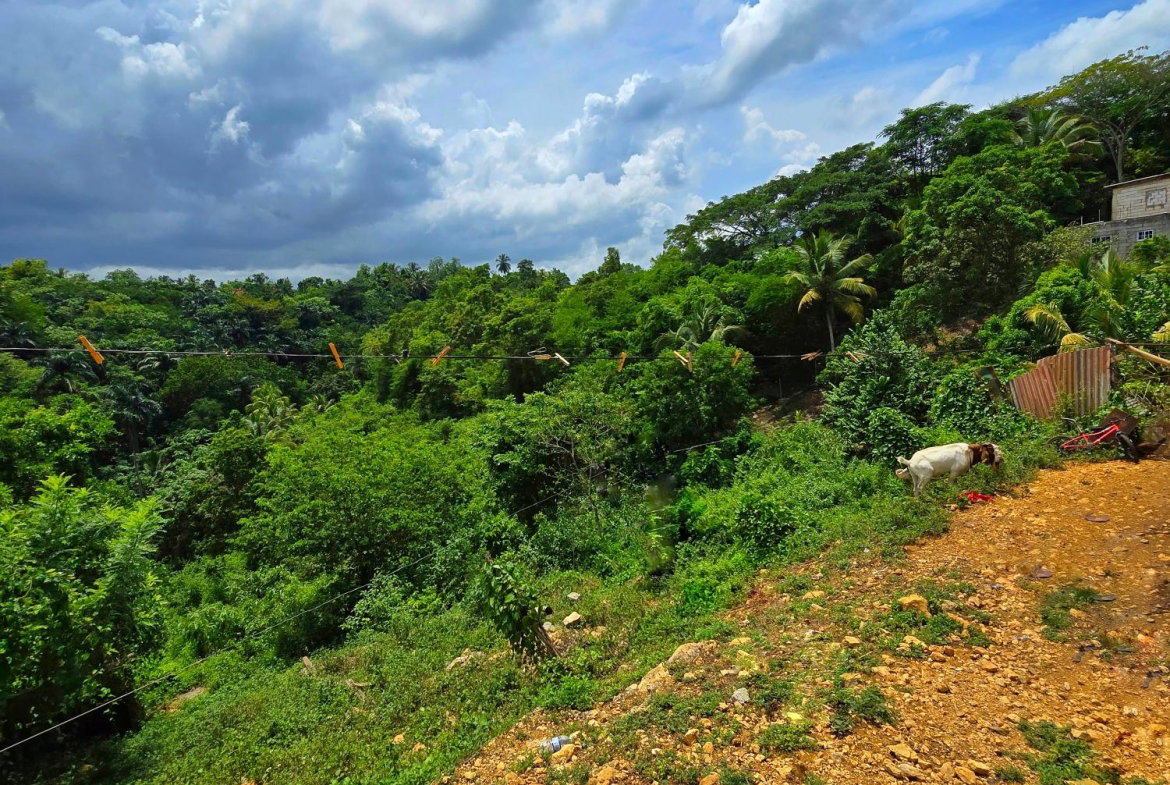 Thirteenth image of Part of Hayfield, Ewarton in Ewarton, St. Catherine, Jamaica - property is For Sale