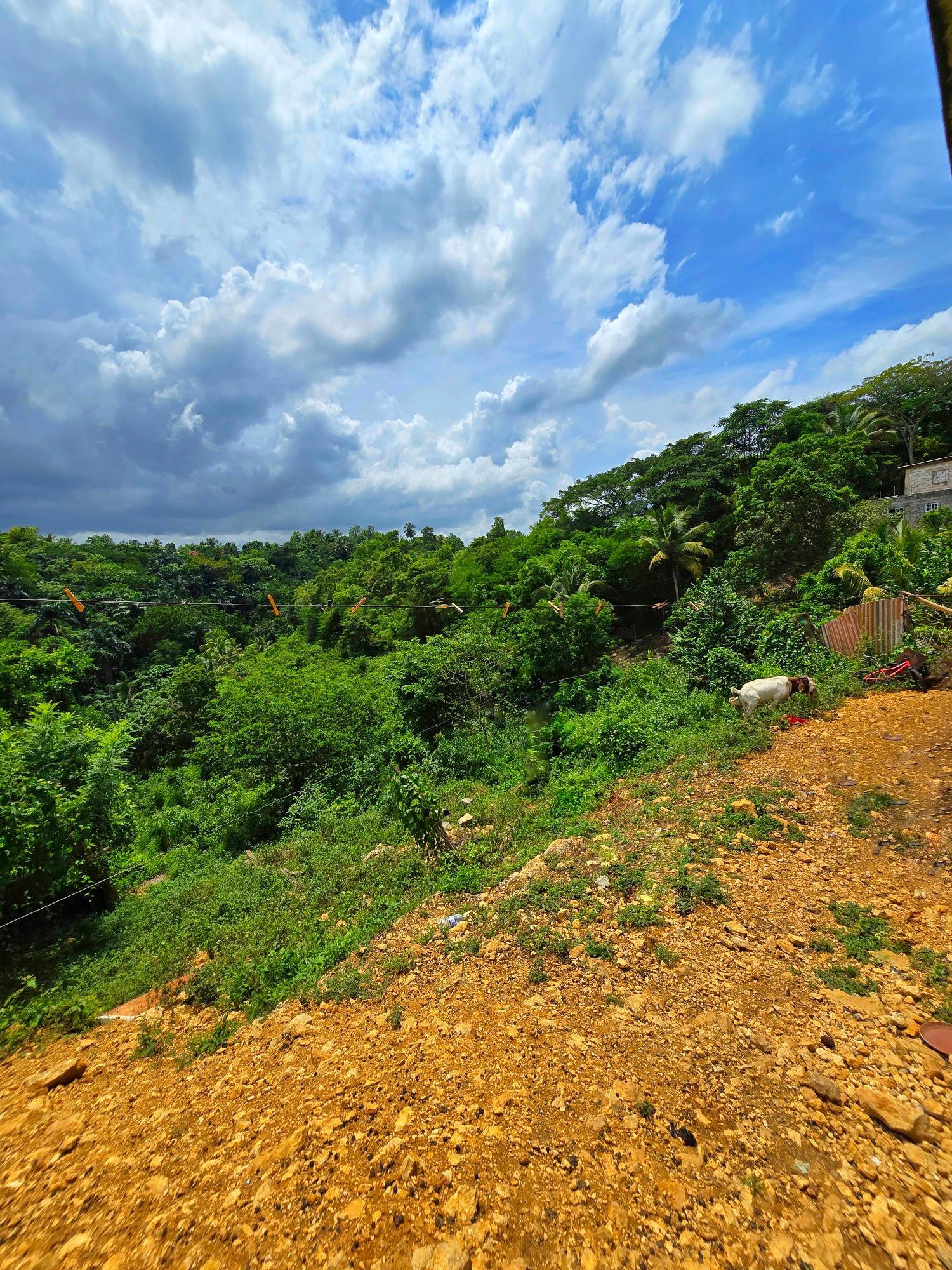 Thirteenth image of Part of Hayfield, Ewarton in Ewarton, St. Catherine, Jamaica - property is For Sale