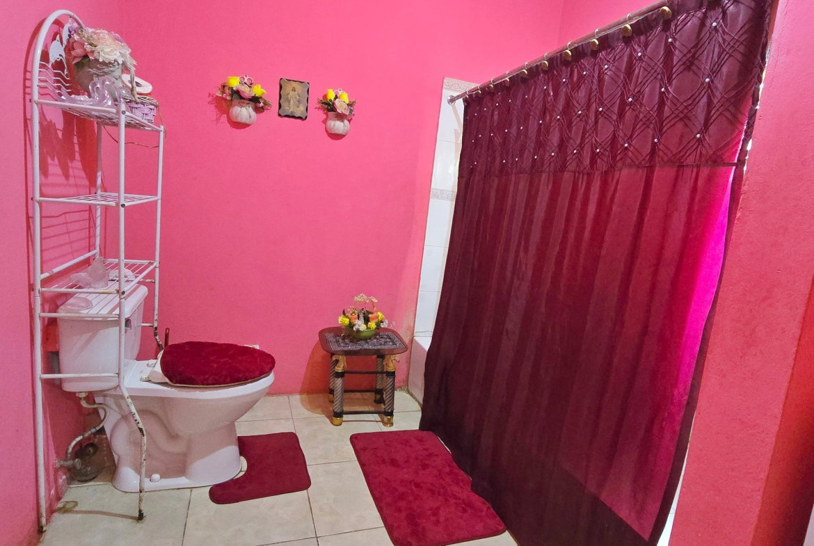 Ninth image of Part of Hayfield, Ewarton in Ewarton, St. Catherine, Jamaica - property is For Sale