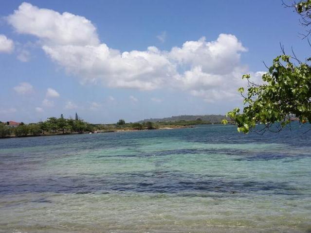 Sixth image of 1 st Thomas The Bar Lands in Yallahs, St. Thomas, Jamaica - property is For Sale