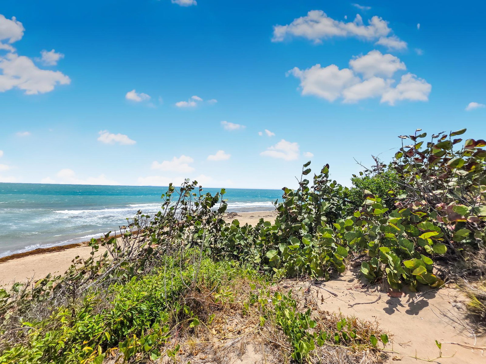 Twelfth image of Old Wharf Bay in Treasure Beach, St. Elizabeth, Jamaica - property is For Sale