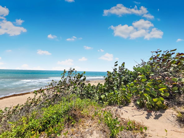 Twelfth image of Old Wharf Bay in Treasure Beach, St. Elizabeth, Jamaica - property is For Sale