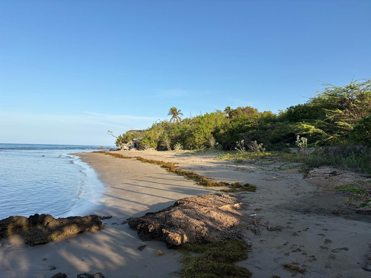 Second image of Lot 3 Billy Bay, Treasure Beach in Treasure Beach, St. Elizabeth, Jamaica - property is For Sale