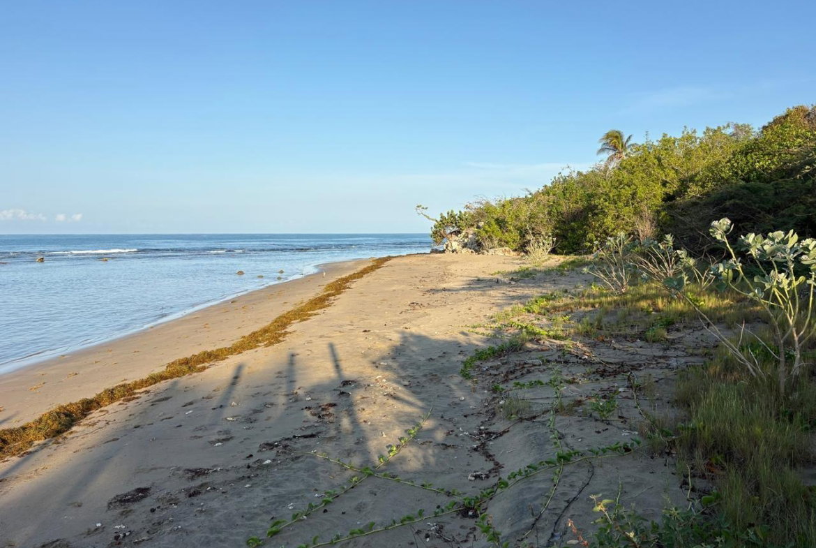 Eighth image of Lot 3 Billy Bay, Treasure Beach in Treasure Beach, St. Elizabeth, Jamaica - property is For Sale