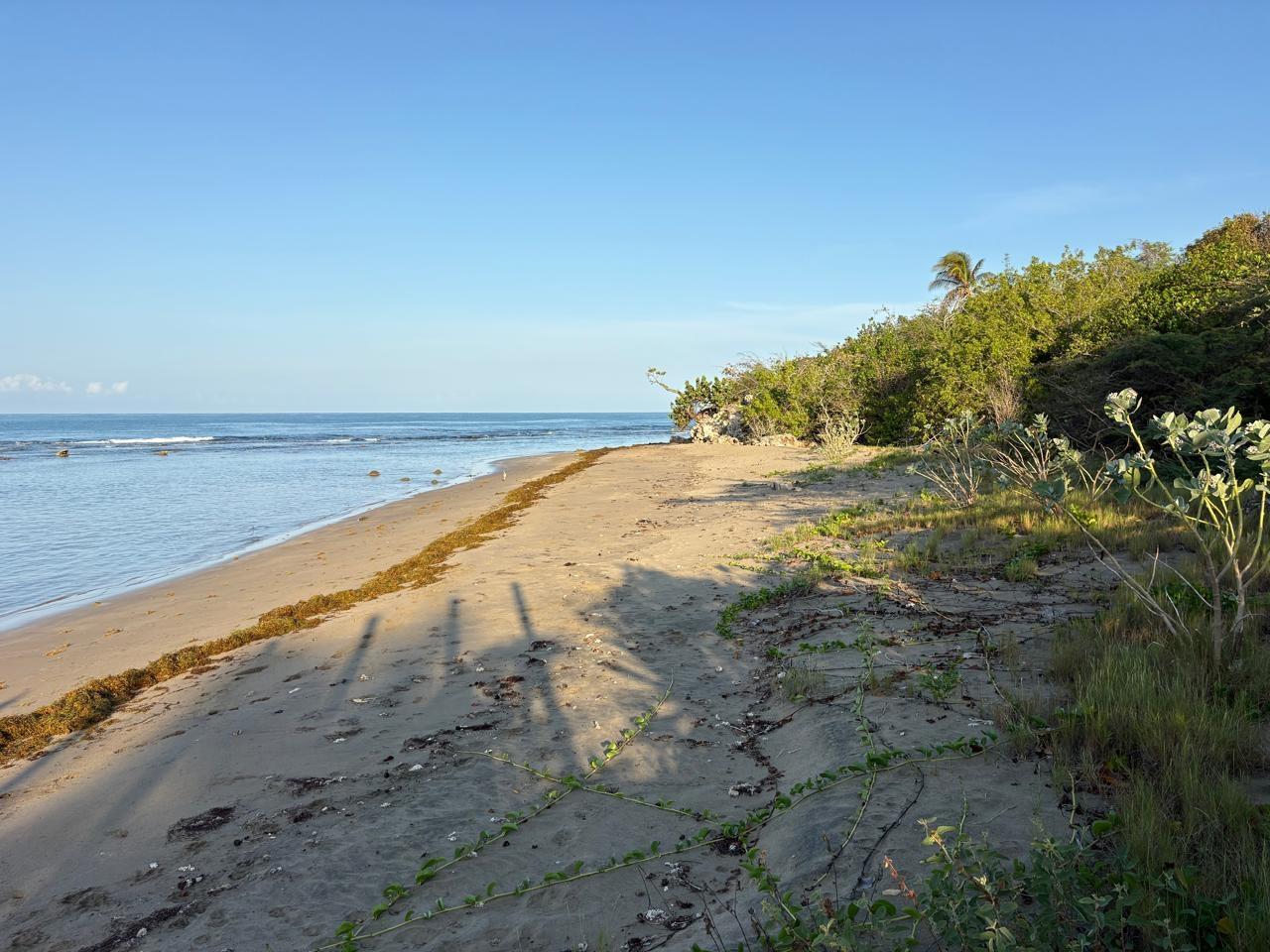 Eighth image of Lot 3 Billy Bay, Treasure Beach in Treasure Beach, St. Elizabeth, Jamaica - property is For Sale