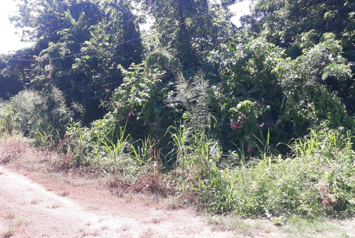 Second image of 169 Duncan Bay in DUNCAN BAY, Trelawny, Jamaica - property is For Sale