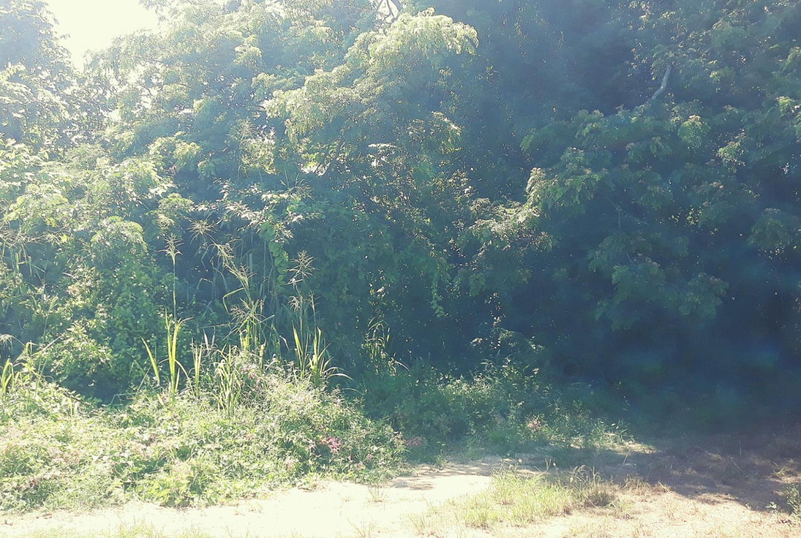 First image of 169 Duncan Bay in DUNCAN BAY, Trelawny, Jamaica - property is For Sale