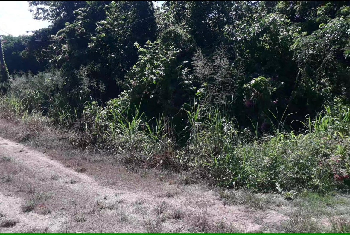 Third image of 169 Duncan Bay in DUNCAN BAY, Trelawny, Jamaica - property is For Sale