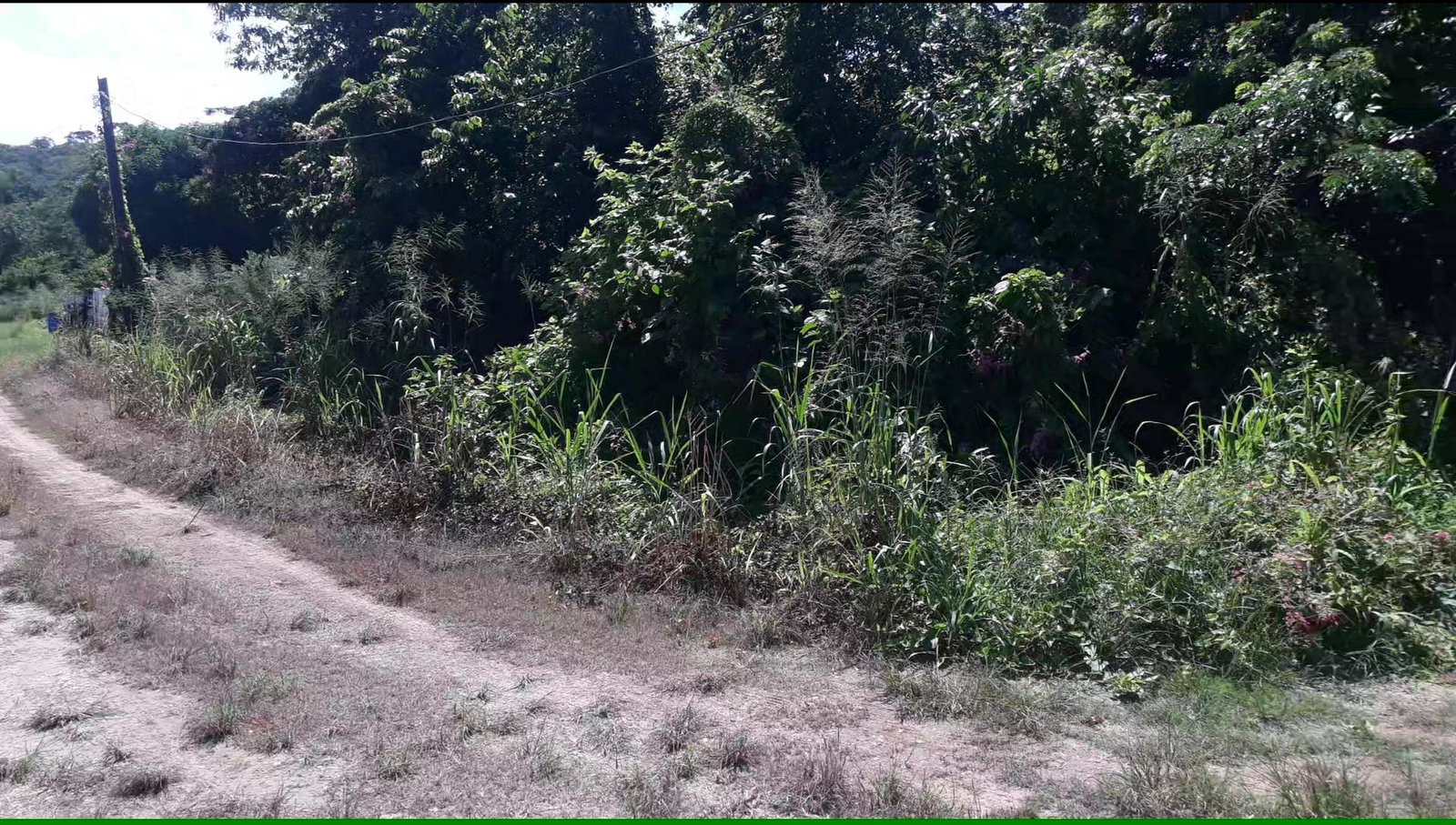 Beachfront-Residential-Lot-for-Sale-in-Duncans-Bay-Trelawny-Jamaica Third image of 169 Duncan Bay in DUNCAN BAY, Trelawny, Jamaica - property is For Sale