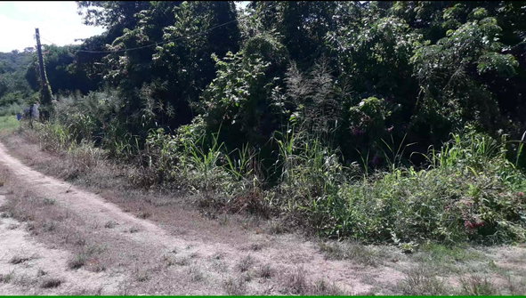 Third image of 169 Duncan Bay in DUNCAN BAY, Trelawny, Jamaica - property is For Sale