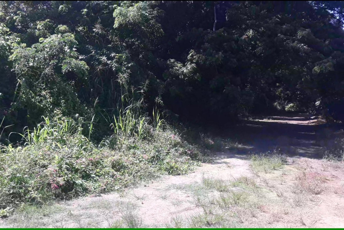 Fourth image of 169 Duncan Bay in DUNCAN BAY, Trelawny, Jamaica - property is For Sale
