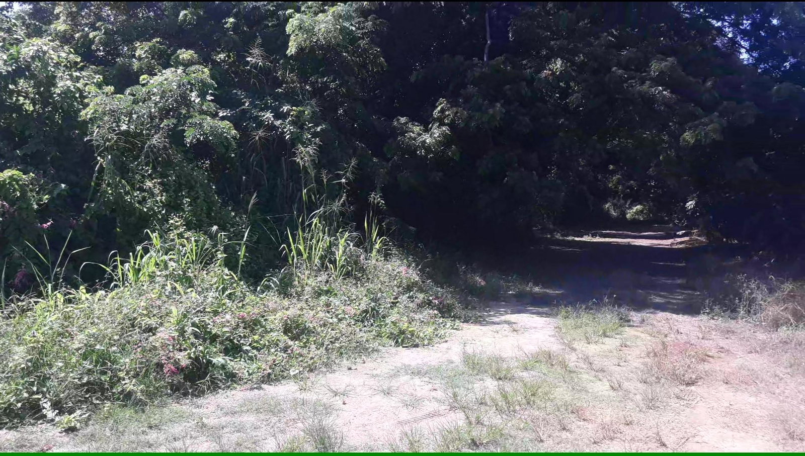 Beachfront-Residential-Lot-for-Sale-in-Duncans-Bay-Trelawny-Jamaica Fourth image of 169 Duncan Bay in DUNCAN BAY, Trelawny, Jamaica - property is For Sale