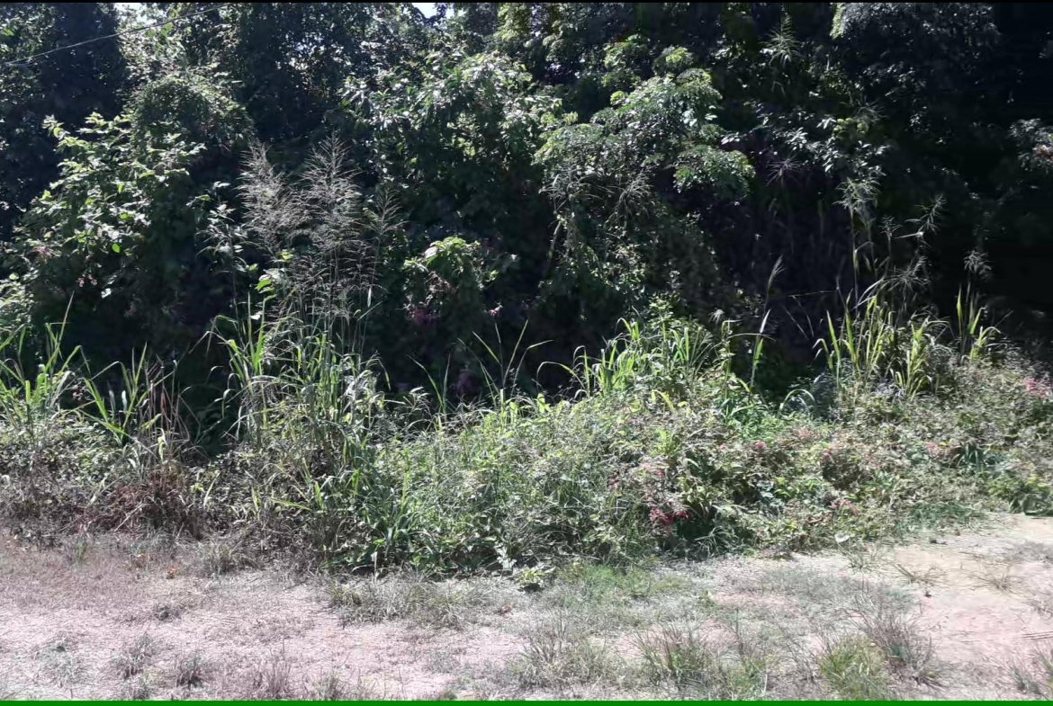 Fifth image of 169 Duncan Bay in DUNCAN BAY, Trelawny, Jamaica - property is For Sale
