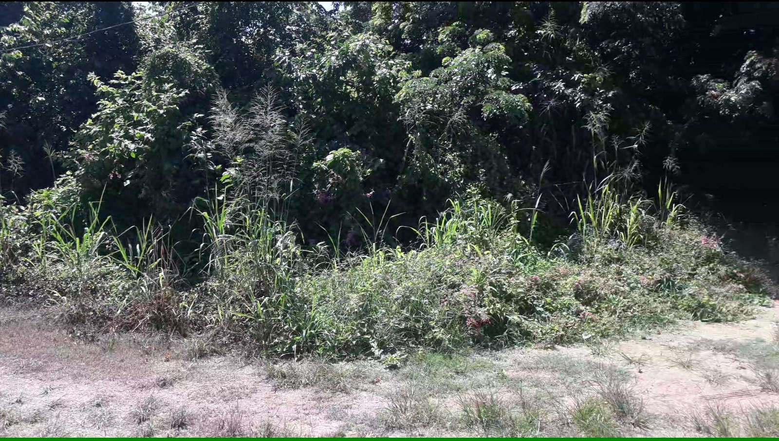 Beachfront-Residential-Lot-for-Sale-in-Duncans-Bay-Trelawny-Jamaica Fifth image of 169 Duncan Bay in DUNCAN BAY, Trelawny, Jamaica - property is For Sale