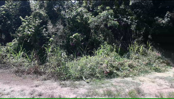 Fifth image of 169 Duncan Bay in DUNCAN BAY, Trelawny, Jamaica - property is For Sale