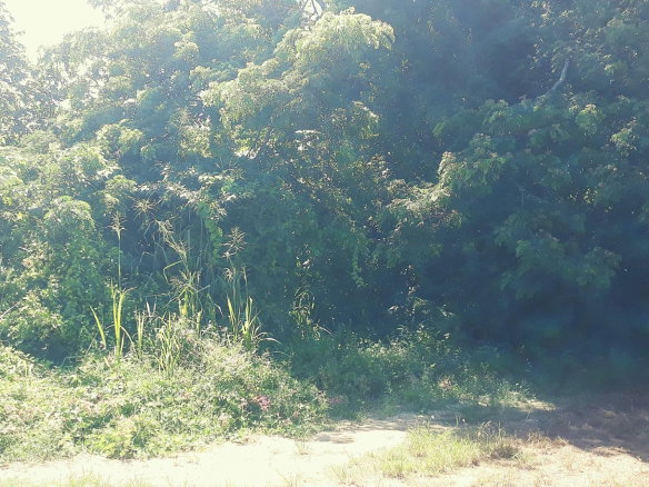 First image of 169 Duncan Bay in DUNCAN BAY, Trelawny, Jamaica - property is For Sale