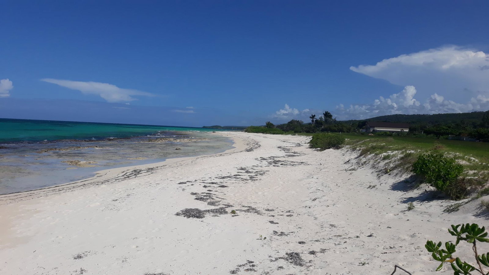 Beachfront-Residential-Lot-for-Sale-in-Duncans-Bay-Trelawny-Jamaica Eighth image of 169 Duncan Bay in DUNCAN BAY, Trelawny, Jamaica - property is For Sale