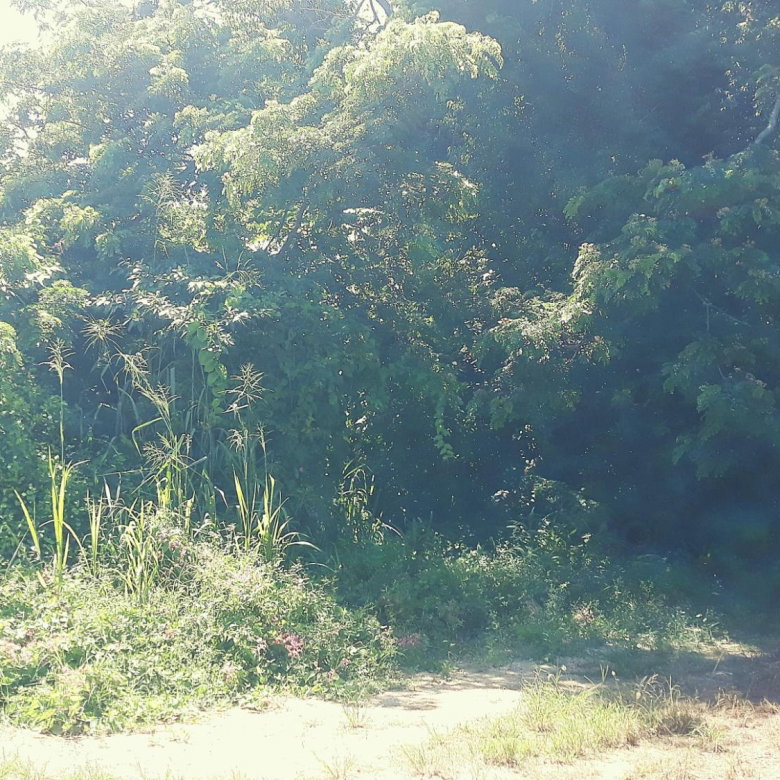 First image of 169 Duncan Bay in DUNCAN BAY, Trelawny, Jamaica - property is For Sale