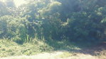 First image of 169 Duncan Bay in DUNCAN BAY, Trelawny, Jamaica - property is For Sale