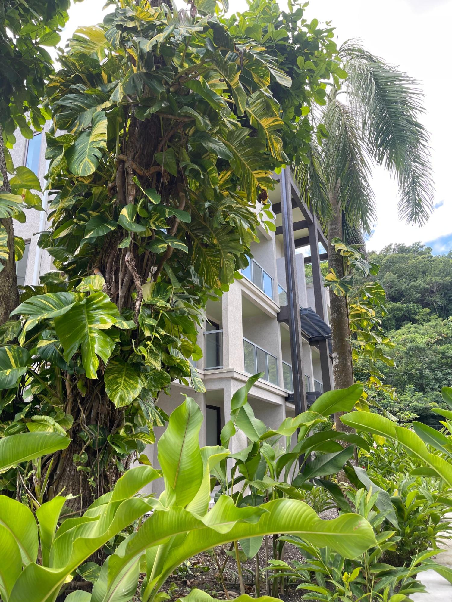 Third image of 7- Bessa, Gibraltar Estate in Oracabessa, St. Mary, Jamaica - property is For Sale