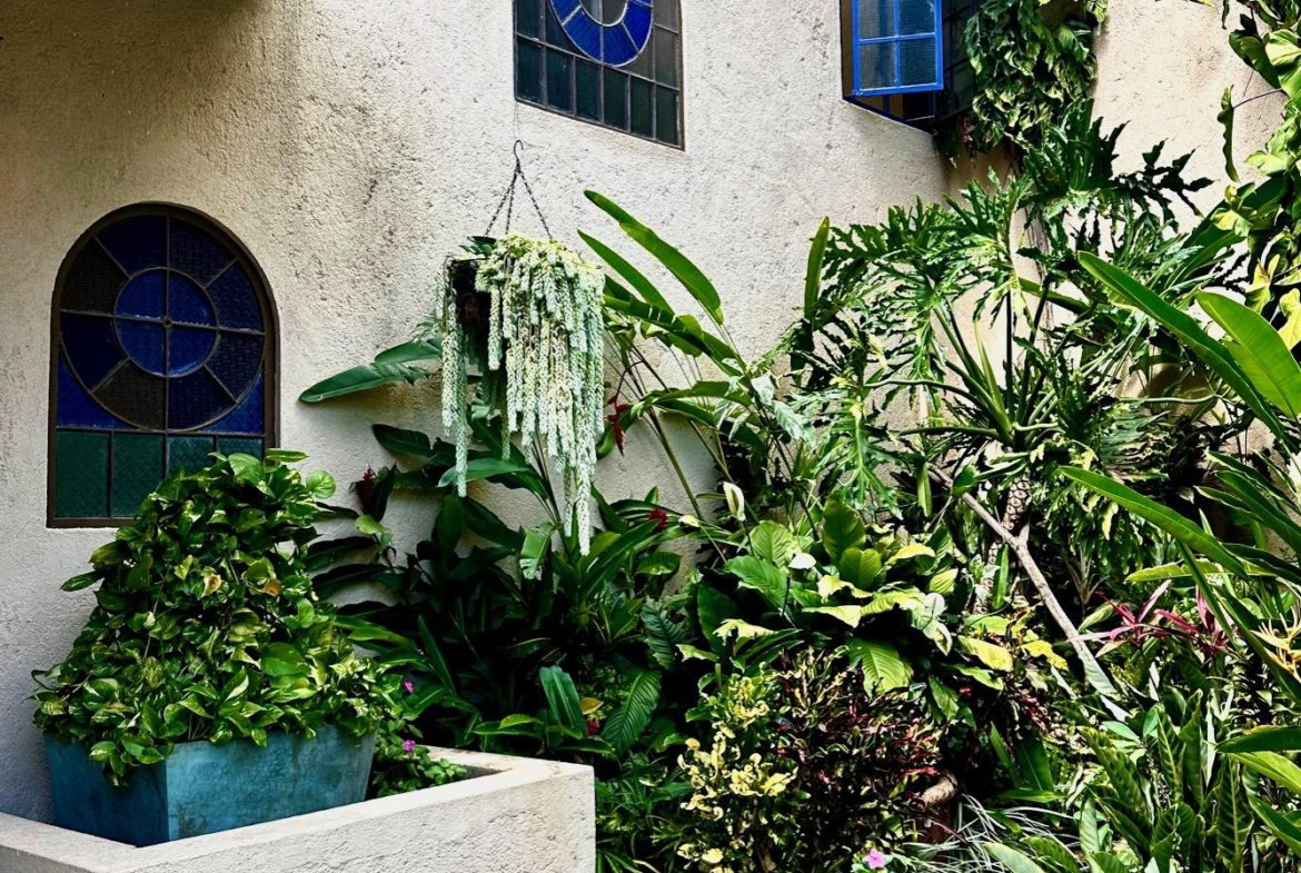 Twelfth image of Belcour Lodge/irish Town in Kingston 6, St. Andrew, Jamaica - property is For Sale