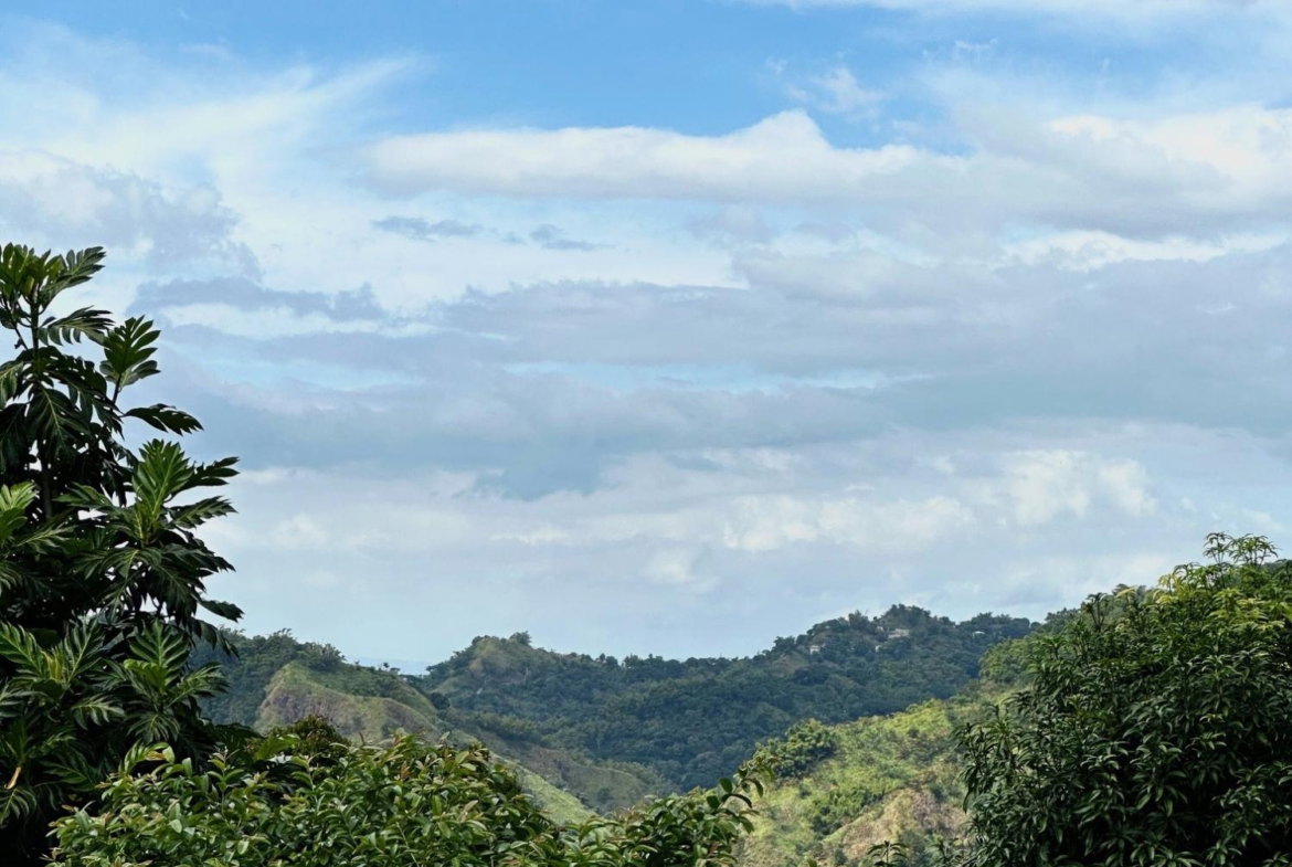Twenty-Seventh image of Belcour Lodge/irish Town in Kingston 6, St. Andrew, Jamaica - property is For Sale