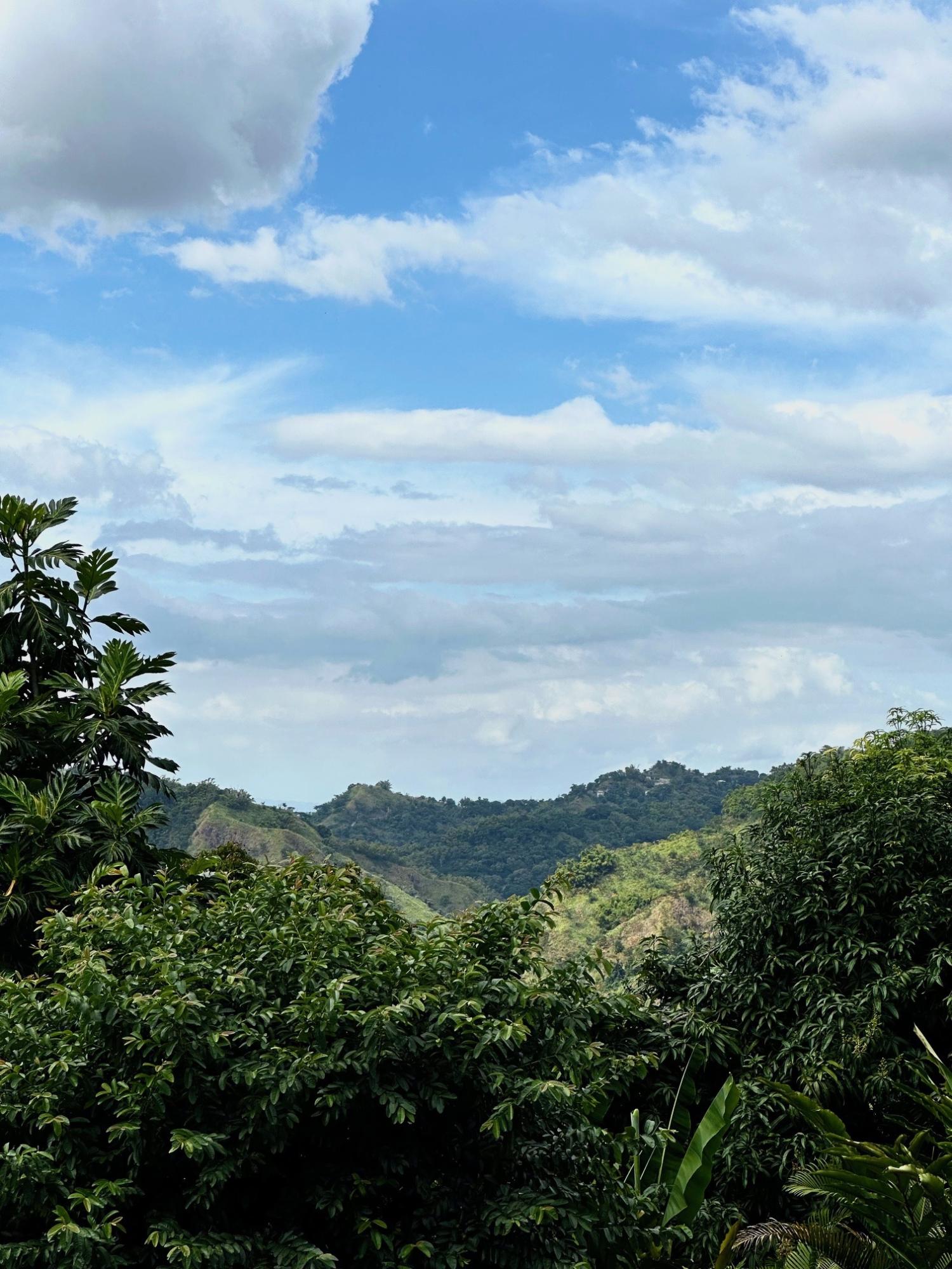 Twenty-Seventh image of Belcour Lodge/irish Town in Kingston 6, St. Andrew, Jamaica - property is For Sale