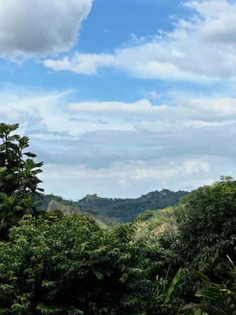 Twenty-Seventh image of Belcour Lodge/irish Town in Kingston 6, St. Andrew, Jamaica - property is For Sale
