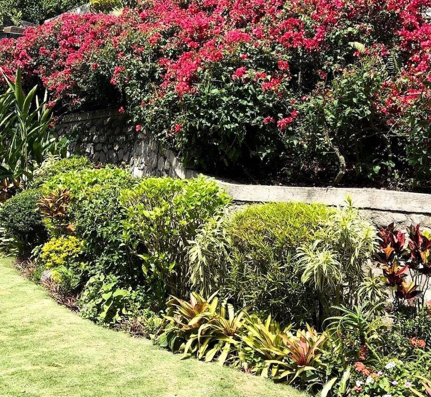 Sixth image of Belcour Lodge/irish Town in Kingston 6, St. Andrew, Jamaica - property is For Sale