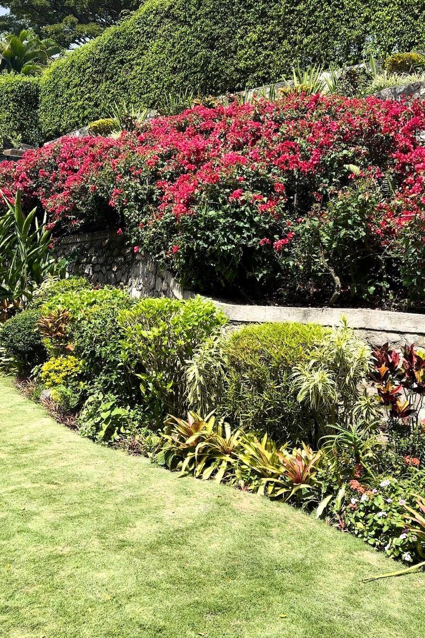Sixth image of Belcour Lodge/irish Town in Kingston 6, St. Andrew, Jamaica - property is For Sale