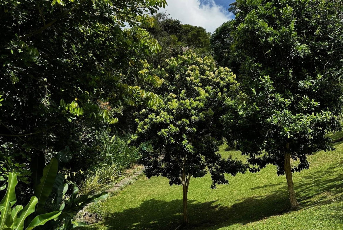 Seventh image of Belcour Lodge/irish Town in Kingston 6, St. Andrew, Jamaica - property is For Sale