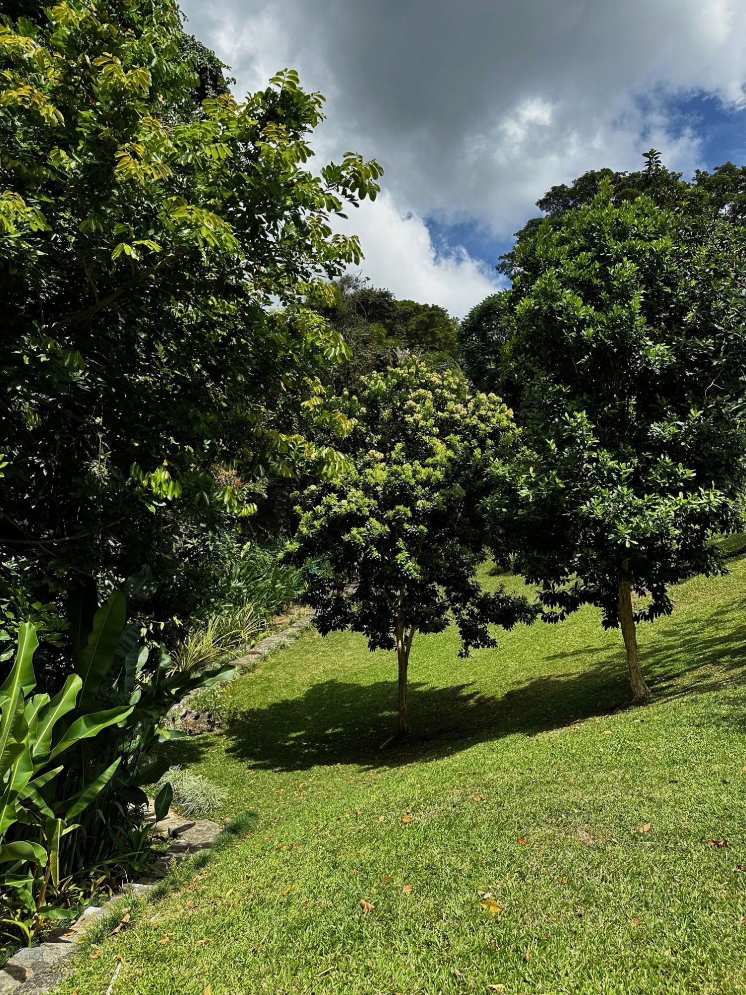 Seventh image of Belcour Lodge/irish Town in Kingston 6, St. Andrew, Jamaica - property is For Sale