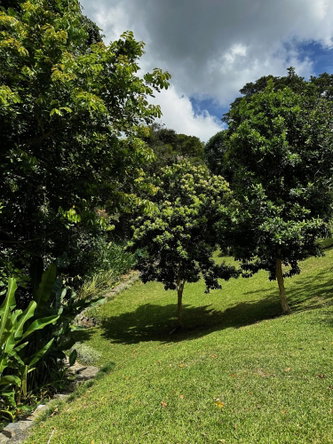 Seventh image of Belcour Lodge/irish Town in Kingston 6, St. Andrew, Jamaica - property is For Sale