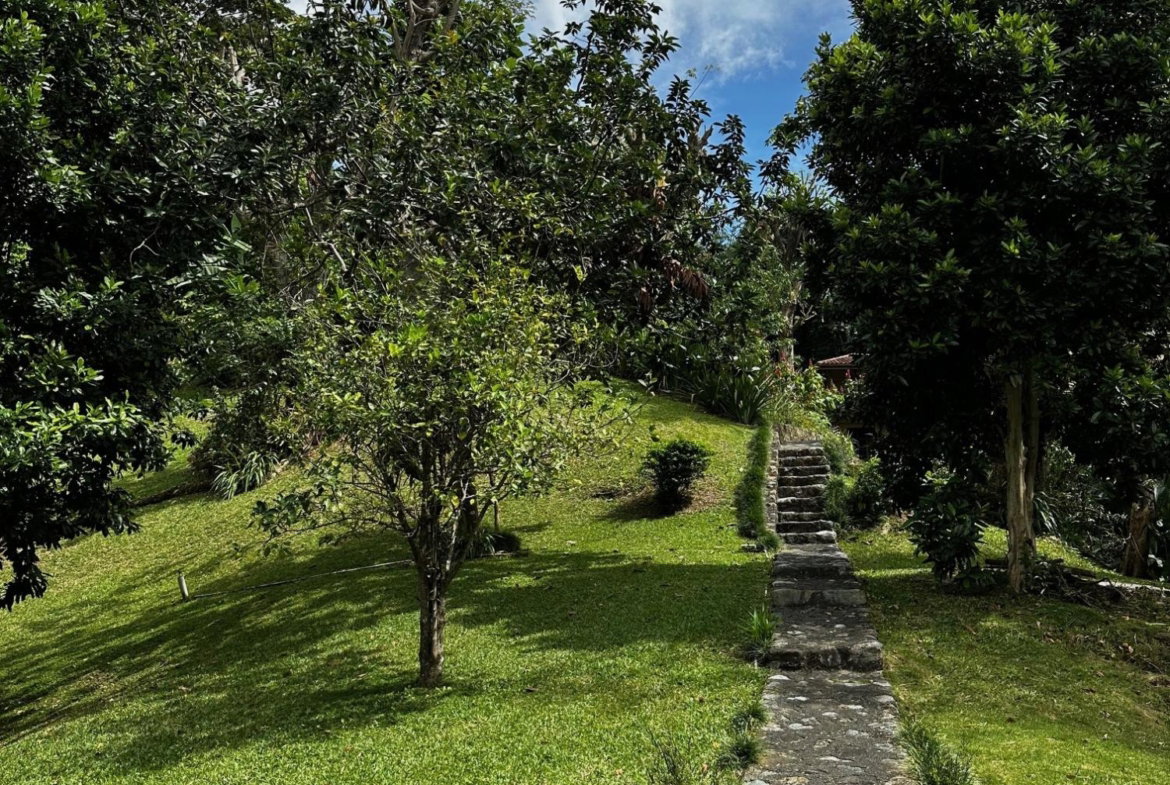 Eighth image of Belcour Lodge/irish Town in Kingston 6, St. Andrew, Jamaica - property is For Sale