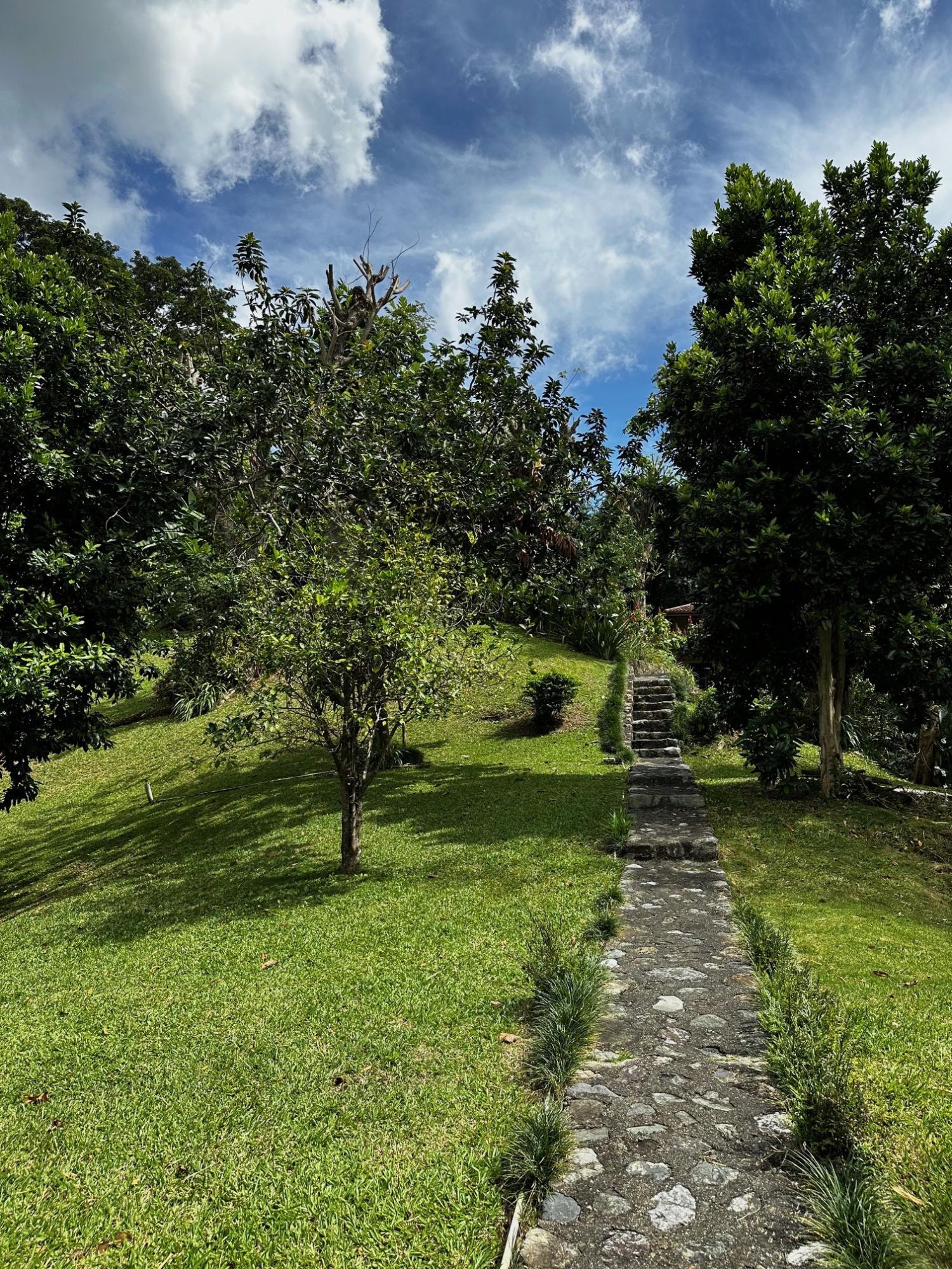 Eighth image of Belcour Lodge/irish Town in Kingston 6, St. Andrew, Jamaica - property is For Sale