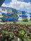 First image of 20-47 Shortwood Road, Kingston in Kingston 8, St. Andrew, Jamaica - property is For Rent